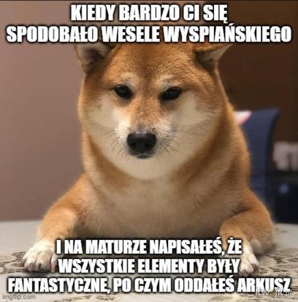 Memy matura 2020