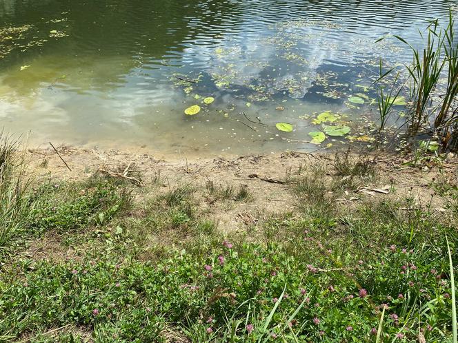 Glinianki w Zielonej Górze popadają w ruinę? 