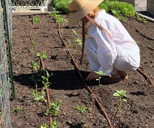 Pamela Anderson handluje ogórkami! Wielki sukces gwiazdy