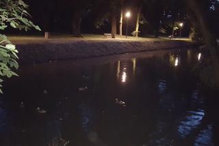 Odmulono staw w parku na osiedlu Słocina