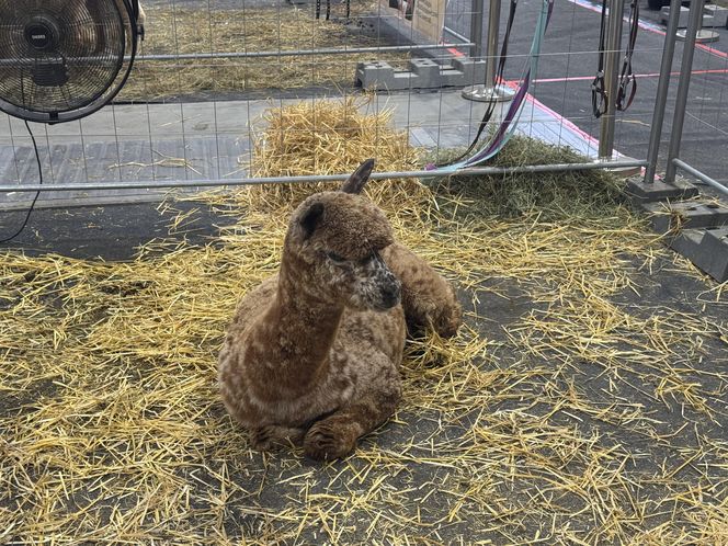ZooPark w Lublinie. Dzień drugi