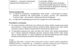 Matura 2019 z biologii [ARKUSZE CKE, ODPOWIEDZI]