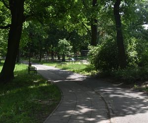 Park Glazja w Toruniu. To tutaj doszło ataku na 24-letnią kobietę