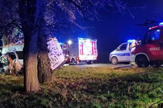 Nie żyją dwie kobiety i 6-letnie dziecko! Tragiczny wypadek na Lubelszczyźnie