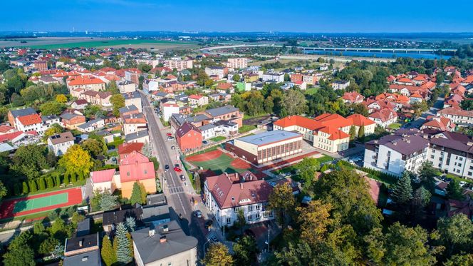 10. Knurów