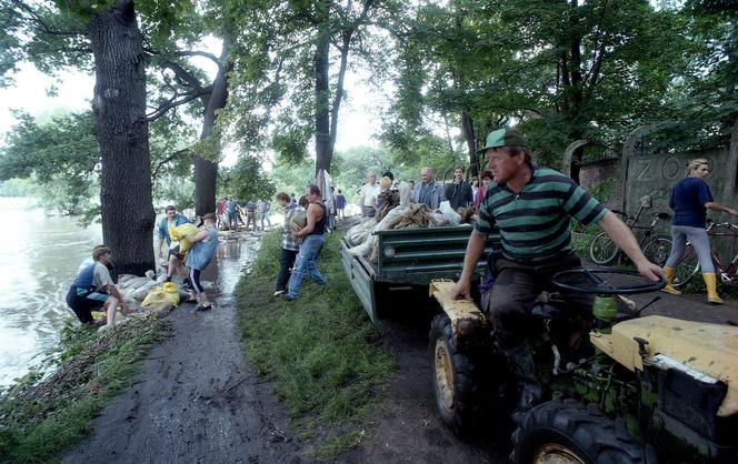 Powódź tysiąclecia we Wrocławiu. Zobacz, jak ratowano zoo przed wielką wodą 