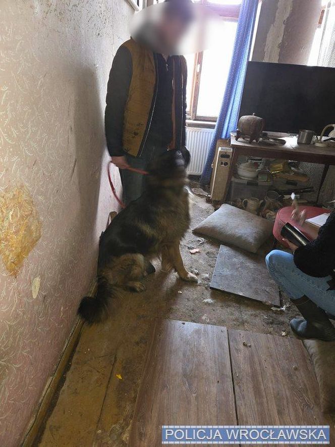 Psy w tragicznych warunkach