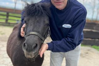 Pan Remek nie może pracować przez Tequilę