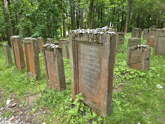 Cmentarz żydowski w Leżajsku