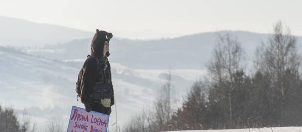 Goryl z kurczakiem przegnali myśliwych
