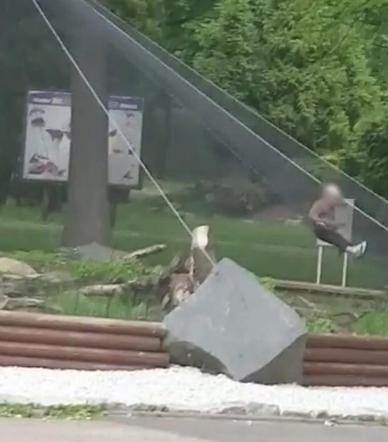 Szokujące sceny w zoo! Dziecko zjeżdżało po wybiegu, rodzice na wszystko patrzyli