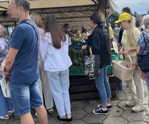 Europosłanka Wcisło buszuje na bazarku.