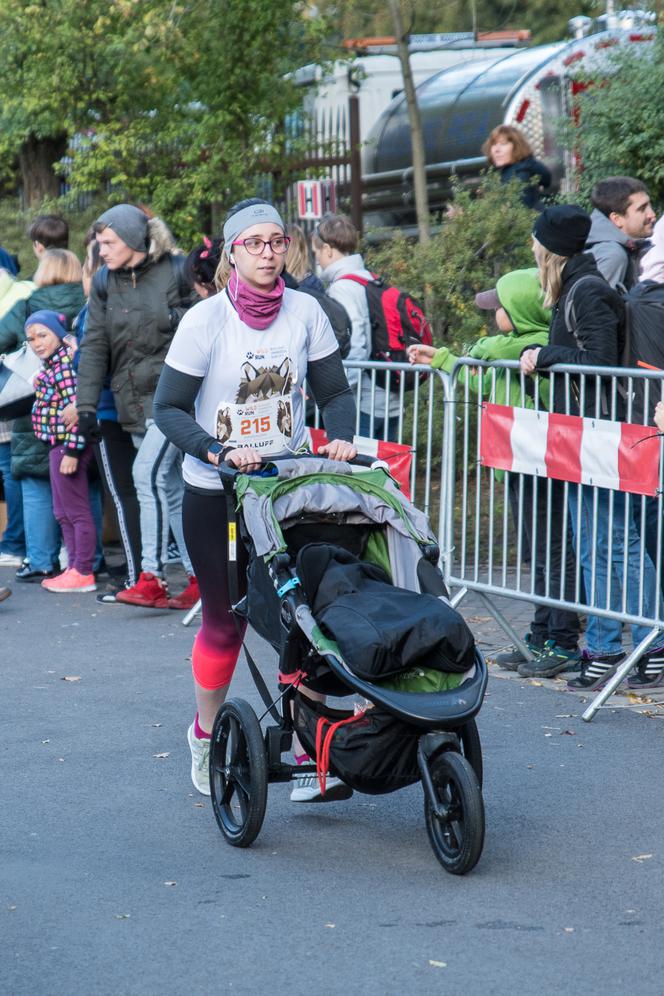 Wild Run 2019. Znamy zwycięzców charytatywnego biegu we wrocławskim zoo