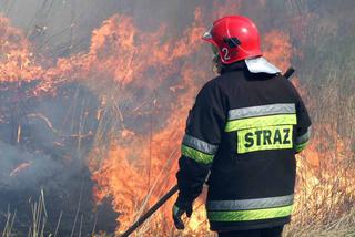 Pożary lasów na terenie województwa lubelskiego