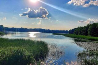 To najpiękniejsze jezioro w woj. podlaskim według AI! Leży w unikalnym miejscu na Podlasiu