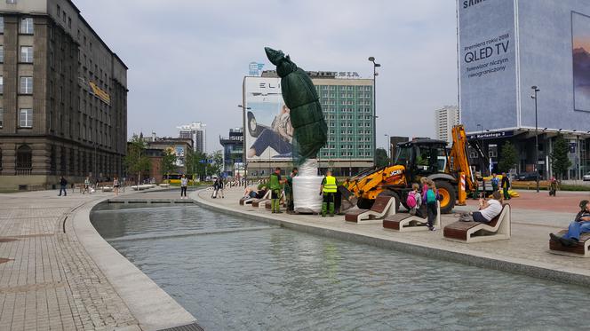 Palmy wróciły na rynek w Katowicach