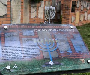 Lapidarium i stary cmentarz żydowski w Osiecznej