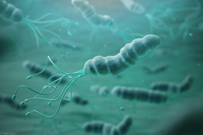 Helicobacter Pyroli – naturalne sposoby na jej zwalczenie