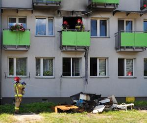 Pożar w mieszkaniu w Sosnowcu. Poparzona została osoba na wózku inwalidzkim.  Doszczętnie spłonęła kuchnia
