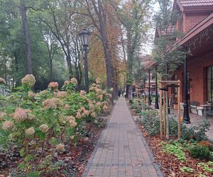 Park Zdrojowy w Krakowie