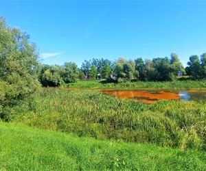 Zanieczyszczone Jezioro Słoneczne w Szczecinie