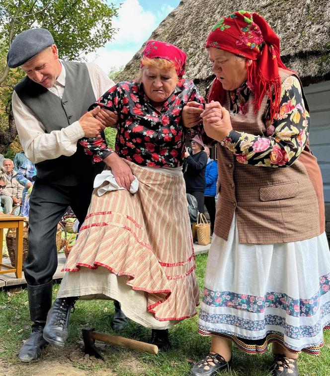 "Obieraczki kapuściane" w Muzeum Wsi Lubelskiej