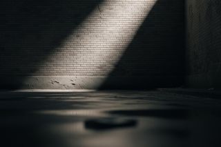 Postrzelona kotka w Ostrowie. Kto stoi za bestialskim atakiem?