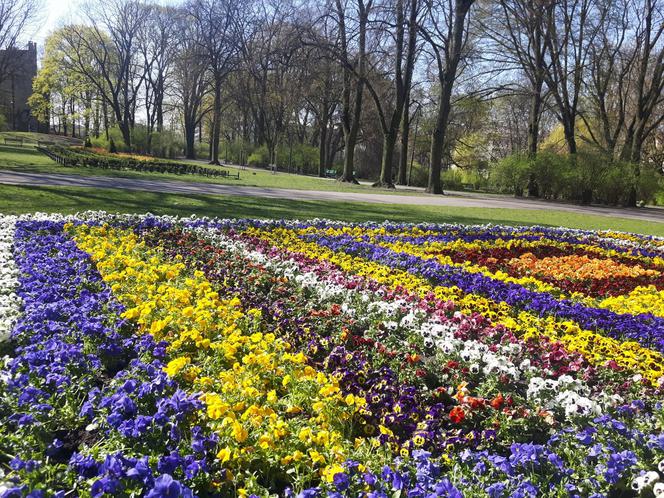 Plac zabaw Park Staszica