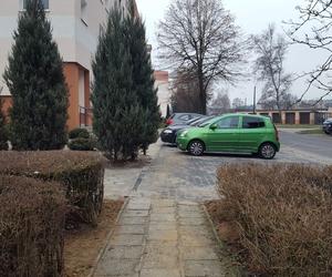 Parkingowy absurd na osiedlu Rejtana w Lesznie 