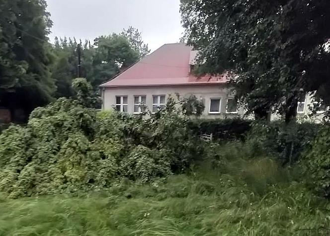Skutki burz na Śląsku. Wiatr połamał drzewa, woda zalała domy