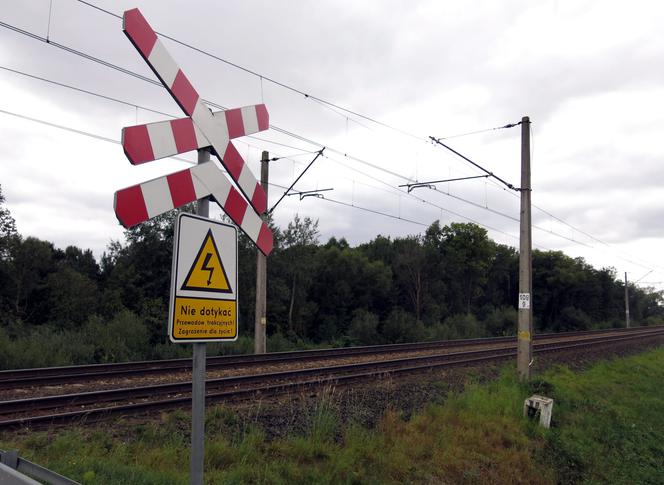 Życie ich rozłączyło, połączyła śmierć - Rzucili się pod pociąg, bo nie mogli być razem?