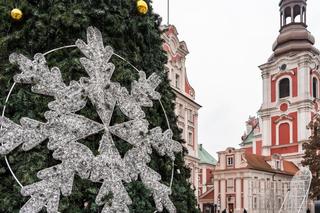 Miejska choinka rozbłyśnie w niedzielę setkami światełek!