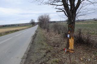 Wypadki pod Zamościem