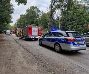 Niebezpieczny wypadek w Pszczynie. Ciężarówka potrąciła seniorkę. Lądował śmigłowiec LPR