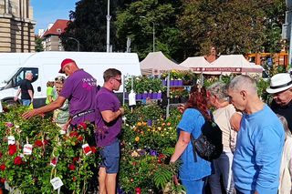 50. edycja kiermaszu Pamiętajcie o ogrodach