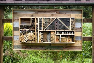 Hotele oraz domki dla pszczół – jak i gdzie budować hotele dla pszczół