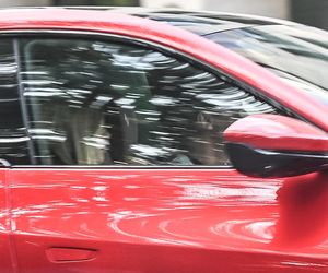 Kuba Wojewódzki z obrączką