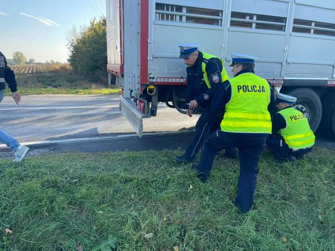 Śmiertelny wypadek pod Gnieznem! Kobieta zginęła pod kołami ciężarówki