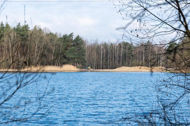 Katowice rewitalizują staw Starganiec.