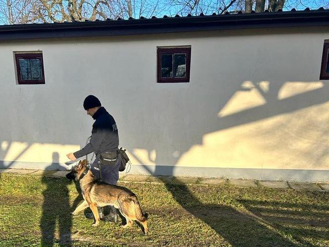 Nowy pies w jasielskiej komendzie. Przed Sadiko nikt i nic się nie ukryje