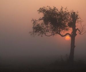 Piękne zdjęcia świętokrzyskich leśników