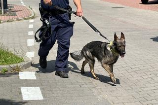 Alarm w Piasecznie! Więzień pobił policjanta i uciekł sprzed sądu!