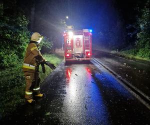 Burzowa noc w Śląskiem. Blisko 10 tys. osób bez prądu. Piorun popalił dom 