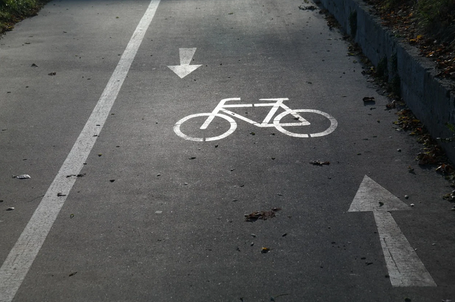 Ścieżka rowerowa / zdjęcie ilustracyjne