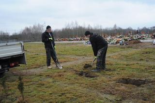 Koszalin. Przygotowania do uroczystości pogrzebowych 2