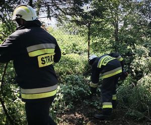 Weekendowe nawałnice na Podkarpaciu