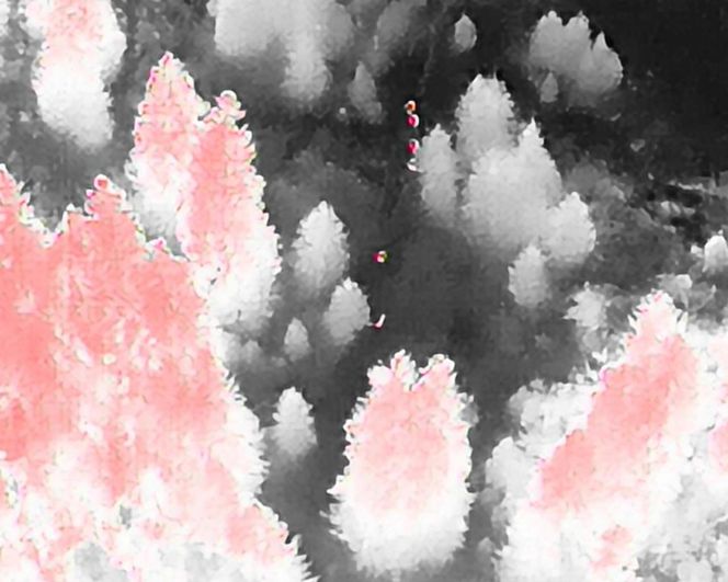 Dramatyczna akcja w Tatrach! Szukali go całą noc, a on? Prawda zaskakuje!