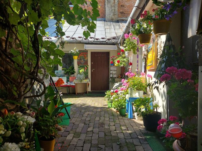 Urokliwe podwórka Starego Miasta w Zamościu