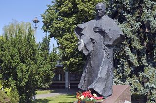 Paprotnia w pow. sochaczewskim (Niepokalanów, 2016)