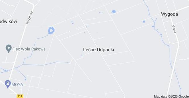 Leśne Odpadki (woj. łódzkie)